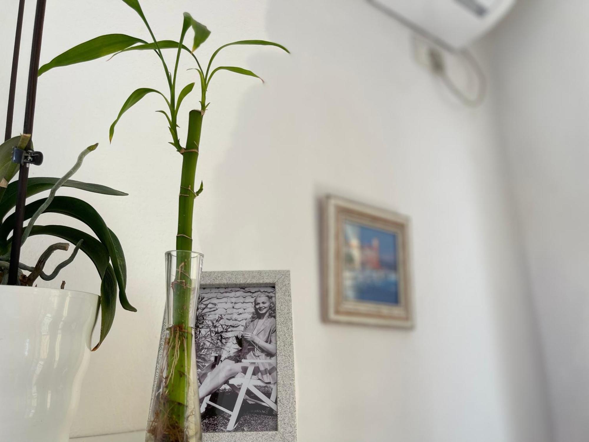סרנדה Kristi Apartment 2 Min To Sea Netflix & Espresso Station מראה חיצוני תמונה